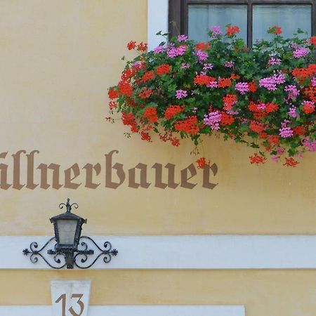 Muellnerbauer Lägenhet Napplach Exteriör bild