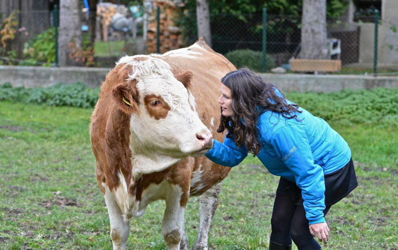 Muellnerbauer Lägenhet Napplach Exteriör bild